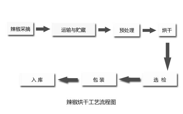 辣椒烘干加工工藝流程